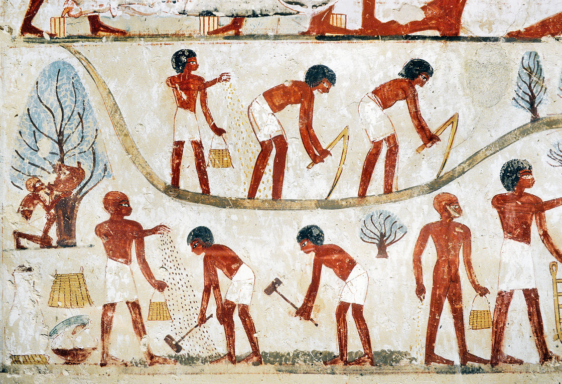 Egypt: Tomb of Nakht