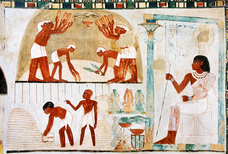 Agricultural scenes including winnowing