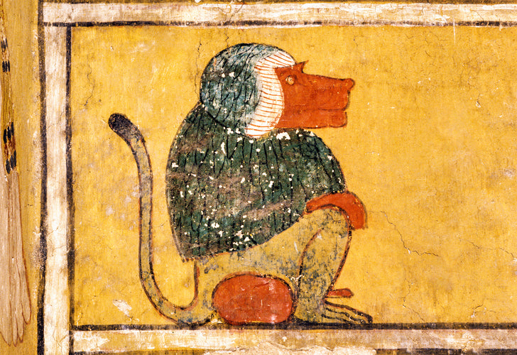 Scene from Imydwat, Baboon