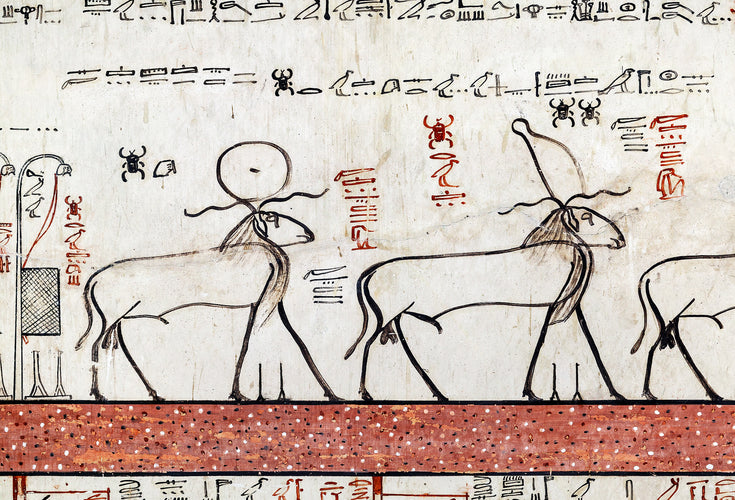 Scene from Imydwat 1