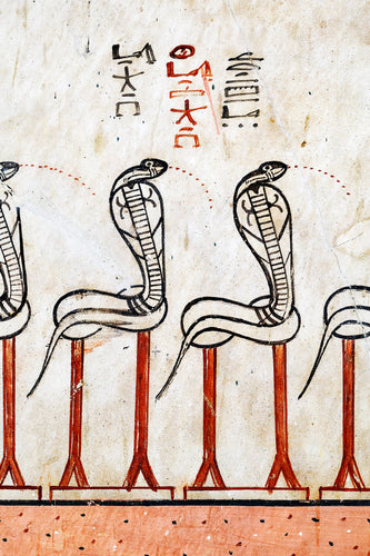 Scene from Imydwat 2